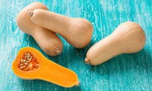 Discovered Butternut squash