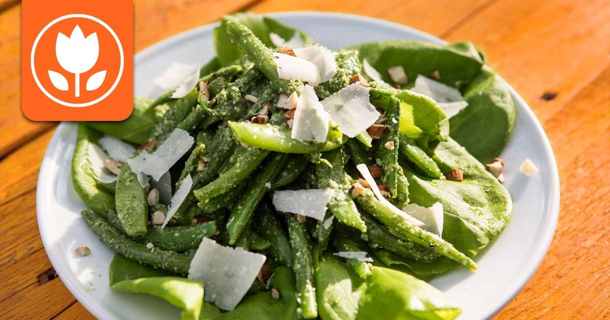 spring dishes with green vegetables